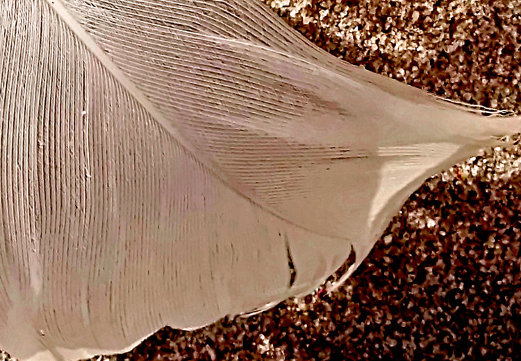 Poster Feather on the Sand - seascape of a beach with a white feather in bright light 130372 additionalImage 10