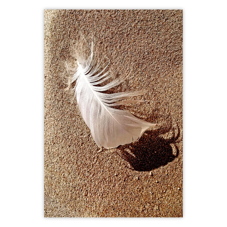 Poster Feather on the Sand - seascape of a beach with a white feather in bright light 130372