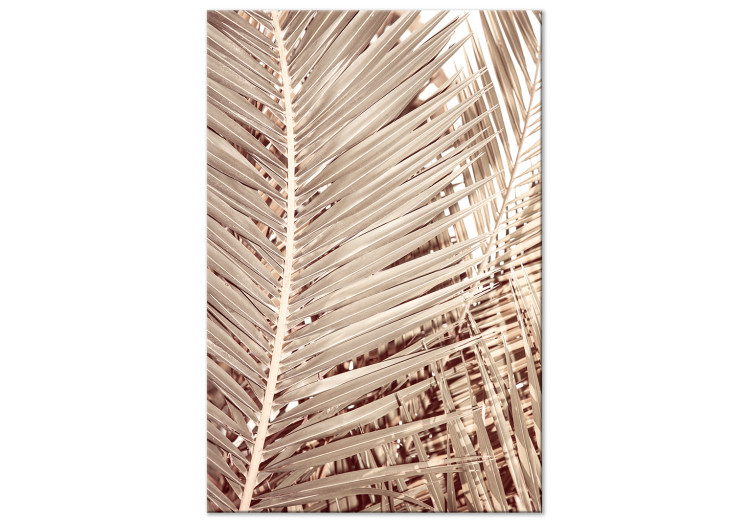 Canvas Art Print Dried palm - sharp, dry palm leaves on a white background 135272