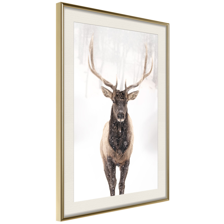 Poster Deer in the Snow - winter composition of a brown deer on a white background 137972 additionalImage 21