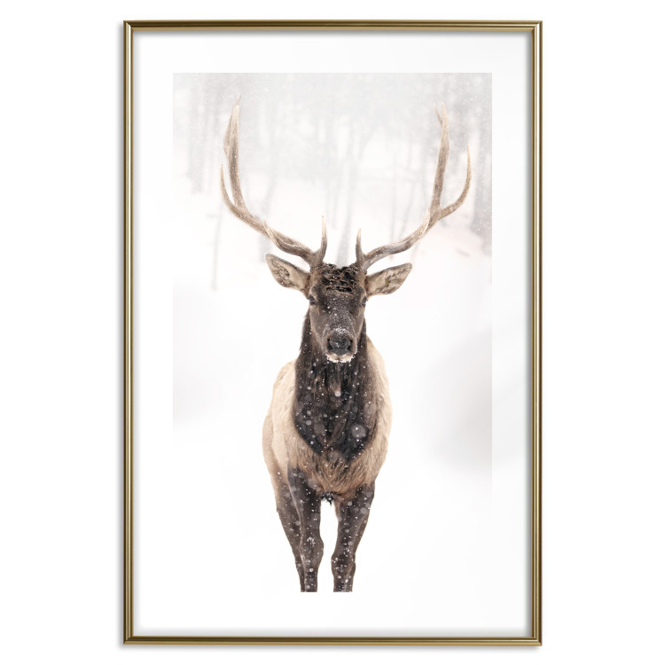 Poster Deer in the Snow - winter composition of a brown deer on a white background 137972 additionalImage 4