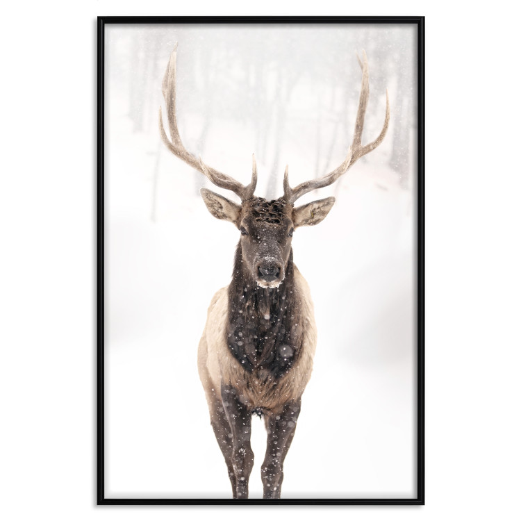 Poster Deer in the Snow - winter composition of a brown deer on a white background 137972 additionalImage 6