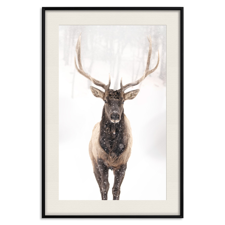 Poster Deer in the Snow - winter composition of a brown deer on a white background 137972 additionalImage 2