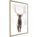 Poster Deer in the Snow - winter composition of a brown deer on a white background 137972 additionalThumb 14