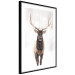 Poster Deer in the Snow - winter composition of a brown deer on a white background 137972 additionalThumb 22