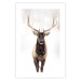 Poster Deer in the Snow - winter composition of a brown deer on a white background 137972 additionalThumb 4