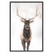 Poster Deer in the Snow - winter composition of a brown deer on a white background 137972 additionalThumb 6