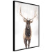 Poster Deer in the Snow - winter composition of a brown deer on a white background 137972 additionalThumb 16
