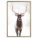 Poster Deer in the Snow - winter composition of a brown deer on a white background 137972 additionalThumb 8