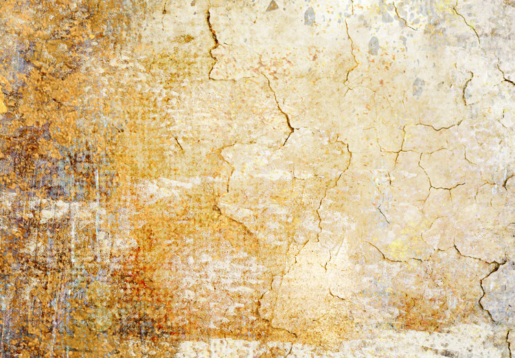 Canvas Passage of Moments (1-piece) - abstraction on cracked texture 143872 additionalImage 4