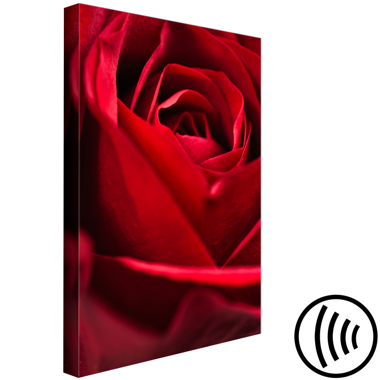 Canvas Print Red Flower (1-piece) - close-up of delicate rose petals 144772 additionalImage 6