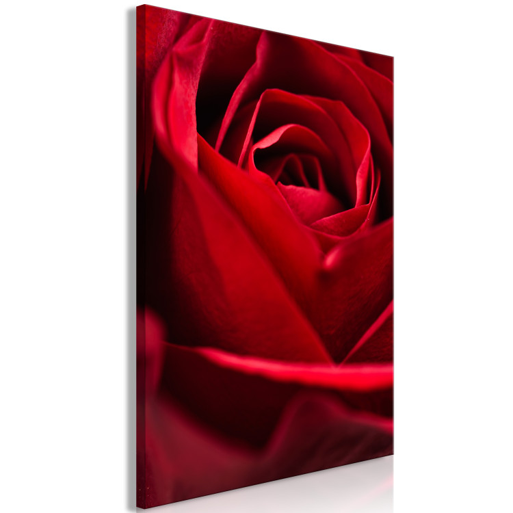 Canvas Print Red Flower (1-piece) - close-up of delicate rose petals 144772 additionalImage 2