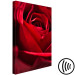 Canvas Print Red Flower (1-piece) - close-up of delicate rose petals 144772 additionalThumb 6