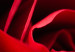 Canvas Print Red Flower (1-piece) - close-up of delicate rose petals 144772 additionalThumb 5