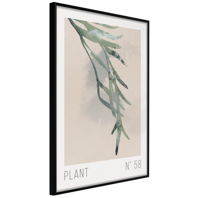 Poster Plant Number 58 [Poster] 148972 additionalImage 5