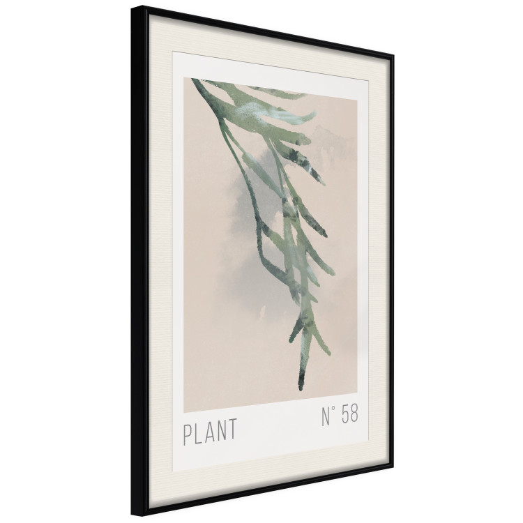 Poster Plant Number 58 [Poster] 148972 additionalImage 11