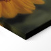 Canvas Print AI Cat - Black Animal Dancing in a Field of Sunflowers in a Sunny Glow - Horizontal 150172 additionalThumb 6