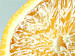 Canvas Citrus charm 55272 additionalThumb 2