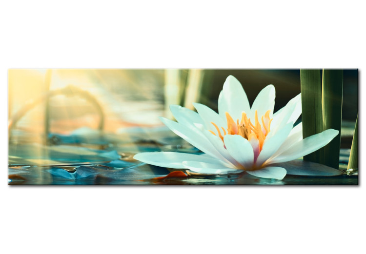 Acrylic print The Lake of Lotus [Glass] 93172 additionalImage 2