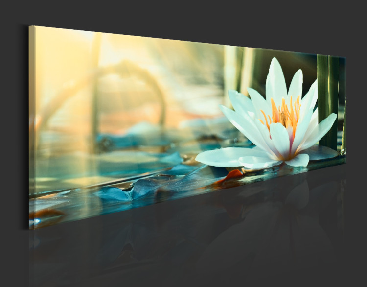 Acrylic print The Lake of Lotus [Glass] 93172 additionalImage 3