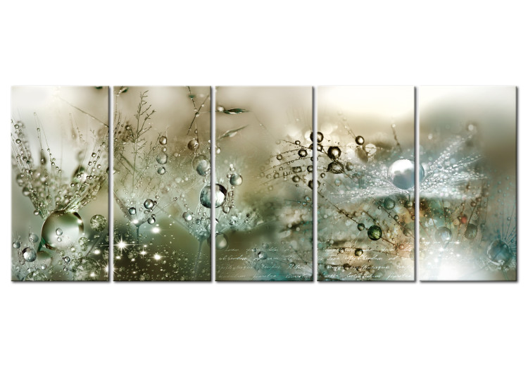 Canvas Art Print Fluffy Dandelions (5-piece) - Flowers with Water Droplets in Greenery 105182