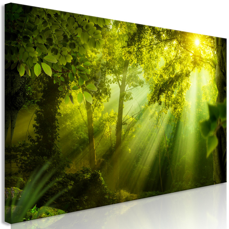 Canvas Print In the Sunlight (1-part) Narrow - Fairy Landscape of Green Forest 108082 additionalImage 2