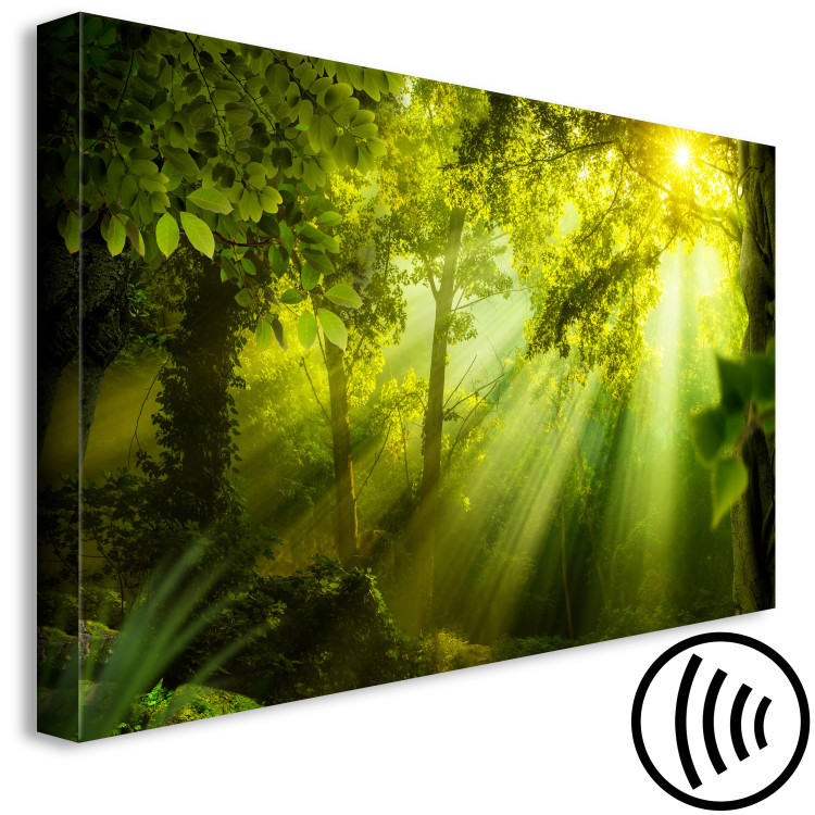 Canvas Print In the Sunlight (1-part) Narrow - Fairy Landscape of Green Forest 108082 additionalImage 6