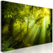 Canvas Print In the Sunlight (1-part) Narrow - Fairy Landscape of Green Forest 108082 additionalThumb 2