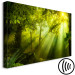 Canvas Print In the Sunlight (1-part) Narrow - Fairy Landscape of Green Forest 108082 additionalThumb 6