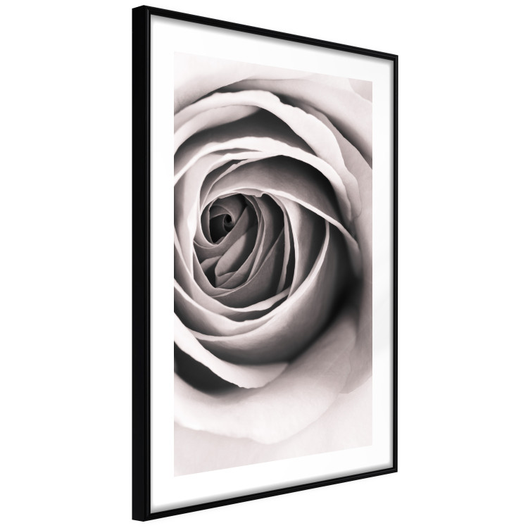 Wall Poster Rose Whirl - pattern imitating the appearance of a rose in an infinite swirl 122282 additionalImage 11