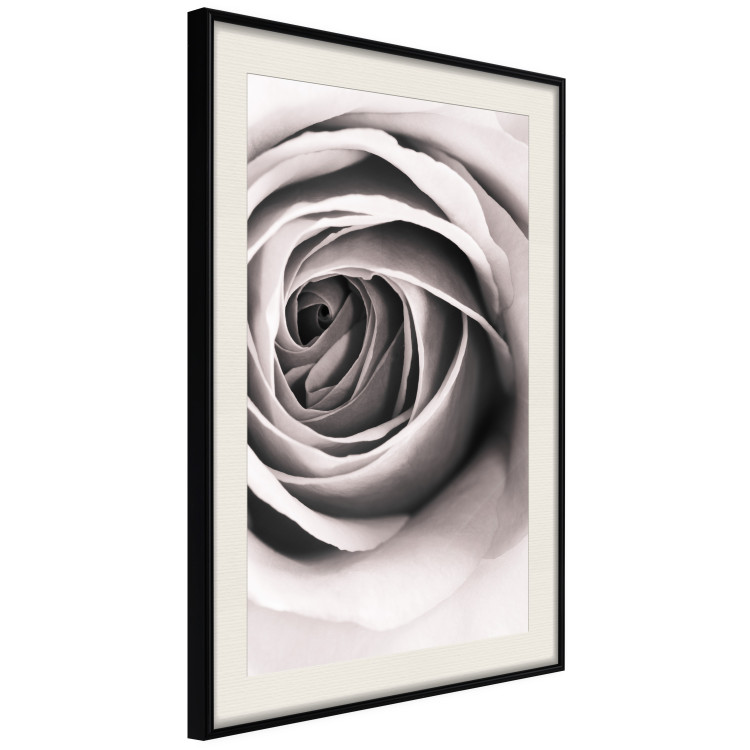 Wall Poster Rose Whirl - pattern imitating the appearance of a rose in an infinite swirl 122282 additionalImage 3