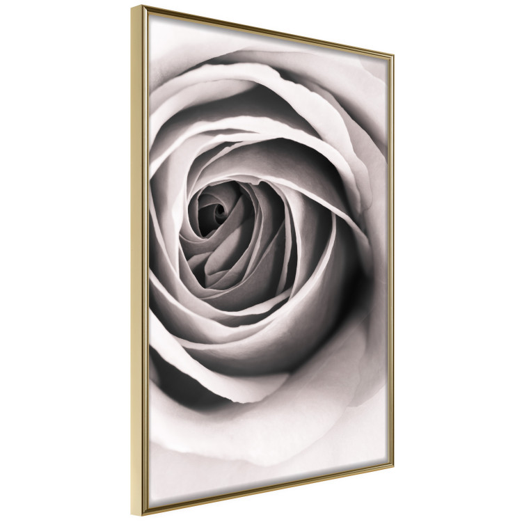 Wall Poster Rose Whirl - pattern imitating the appearance of a rose in an infinite swirl 122282 additionalImage 14