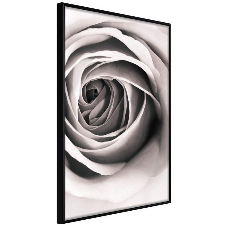 Wall Poster Rose Whirl - pattern imitating the appearance of a rose in an infinite swirl 122282 additionalImage 12