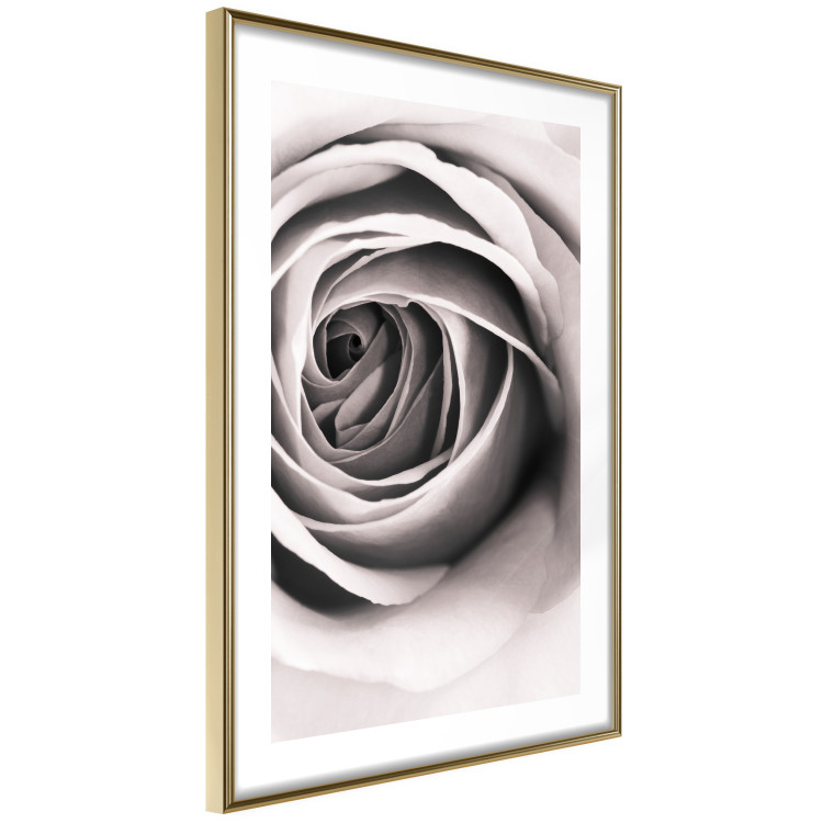Wall Poster Rose Whirl - pattern imitating the appearance of a rose in an infinite swirl 122282 additionalImage 6