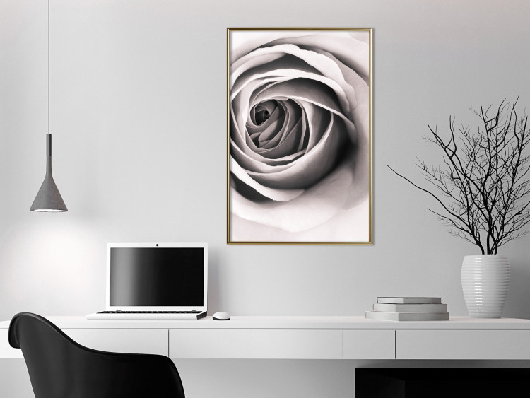 Wall Poster Rose Whirl - pattern imitating the appearance of a rose in an infinite swirl 122282 additionalImage 7