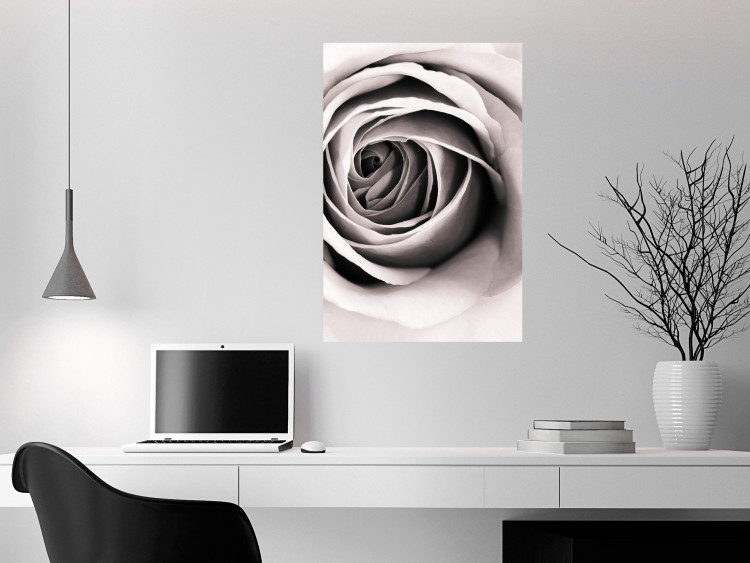 Wall Poster Rose Whirl - pattern imitating the appearance of a rose in an infinite swirl 122282 additionalImage 23