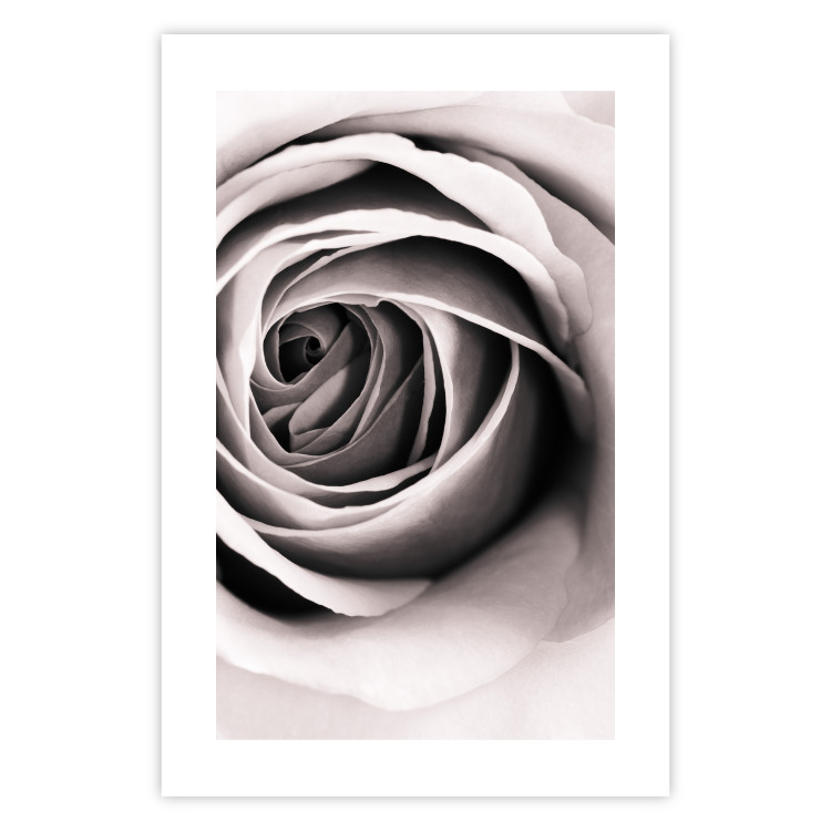 Wall Poster Rose Whirl - pattern imitating the appearance of a rose in an infinite swirl 122282 additionalImage 25