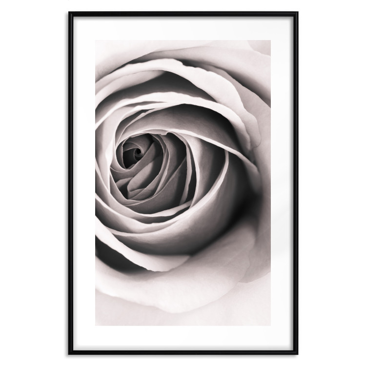 Wall Poster Rose Whirl - pattern imitating the appearance of a rose in an infinite swirl 122282 additionalImage 17