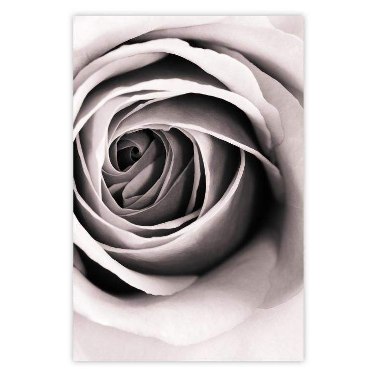 Wall Poster Rose Whirl - pattern imitating the appearance of a rose in an infinite swirl 122282