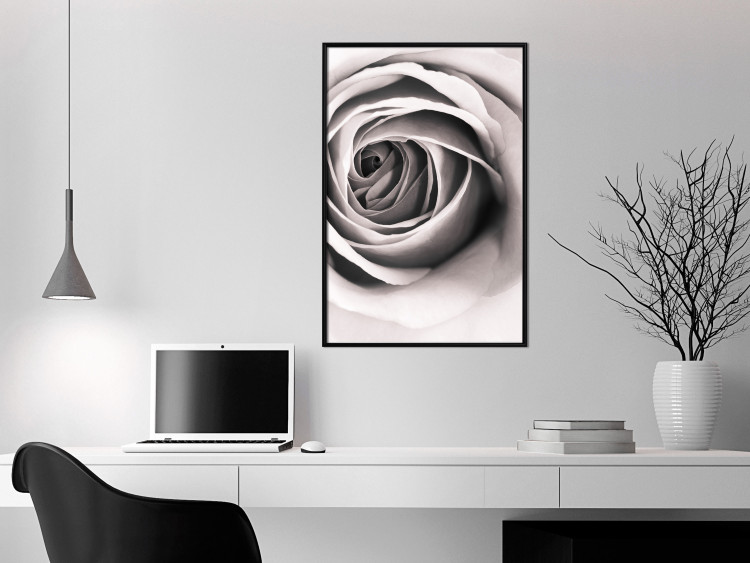 Wall Poster Rose Whirl - pattern imitating the appearance of a rose in an infinite swirl 122282 additionalImage 5