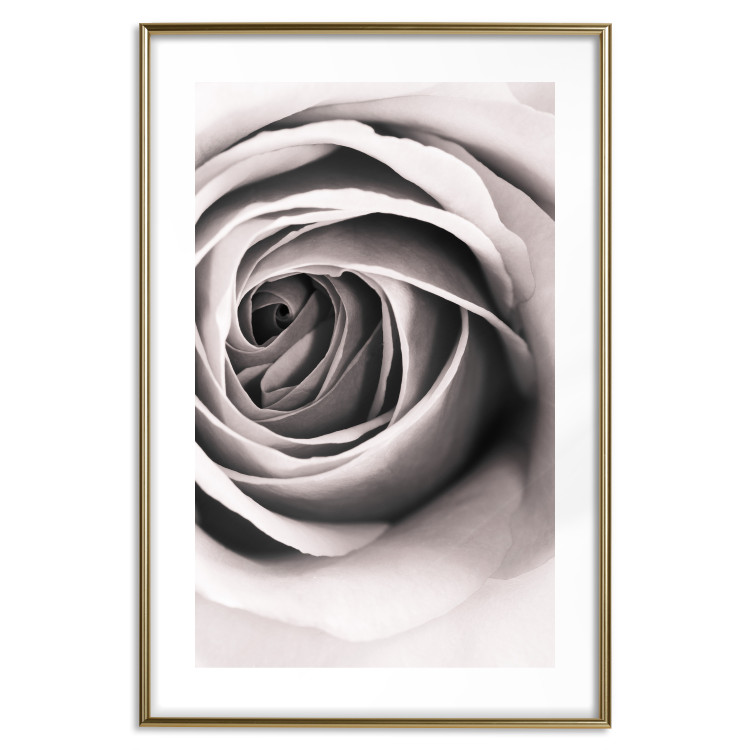 Wall Poster Rose Whirl - pattern imitating the appearance of a rose in an infinite swirl 122282 additionalImage 14