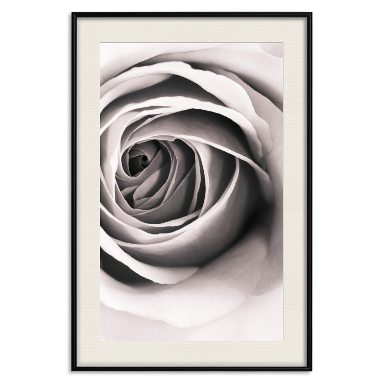 Wall Poster Rose Whirl - pattern imitating the appearance of a rose in an infinite swirl 122282 additionalImage 18
