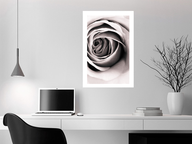 Wall Poster Rose Whirl - pattern imitating the appearance of a rose in an infinite swirl 122282 additionalImage 4