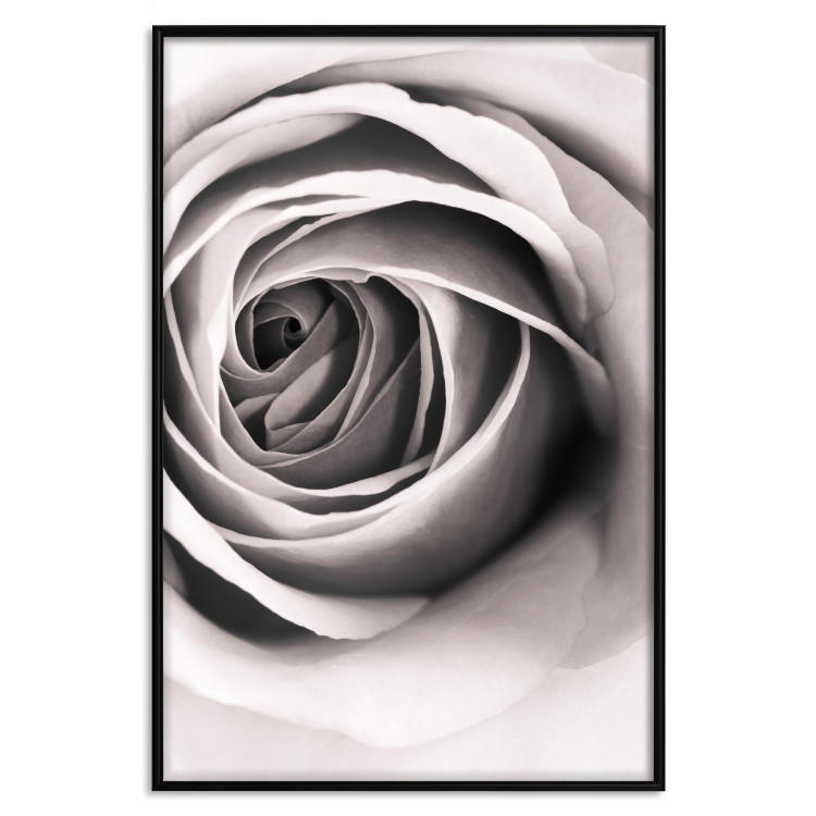 Wall Poster Rose Whirl - pattern imitating the appearance of a rose in an infinite swirl 122282 additionalImage 18