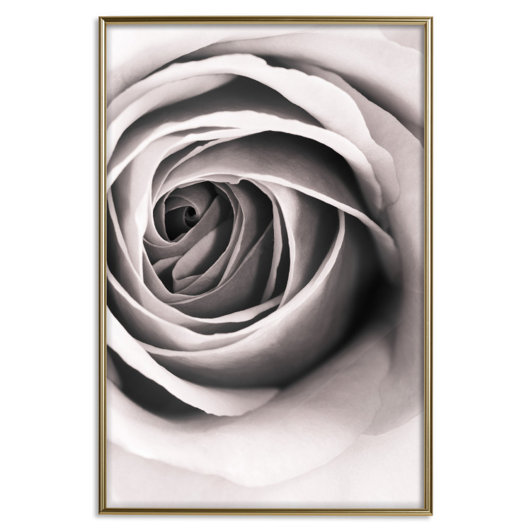 Wall Poster Rose Whirl - pattern imitating the appearance of a rose in an infinite swirl 122282 additionalImage 20