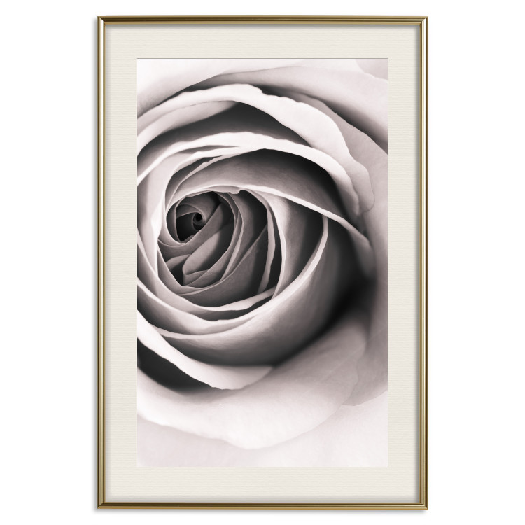 Wall Poster Rose Whirl - pattern imitating the appearance of a rose in an infinite swirl 122282 additionalImage 19