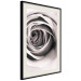 Wall Poster Rose Whirl - pattern imitating the appearance of a rose in an infinite swirl 122282 additionalThumb 3