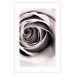 Wall Poster Rose Whirl - pattern imitating the appearance of a rose in an infinite swirl 122282 additionalThumb 19