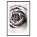 Wall Poster Rose Whirl - pattern imitating the appearance of a rose in an infinite swirl 122282 additionalThumb 17