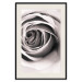 Wall Poster Rose Whirl - pattern imitating the appearance of a rose in an infinite swirl 122282 additionalThumb 18